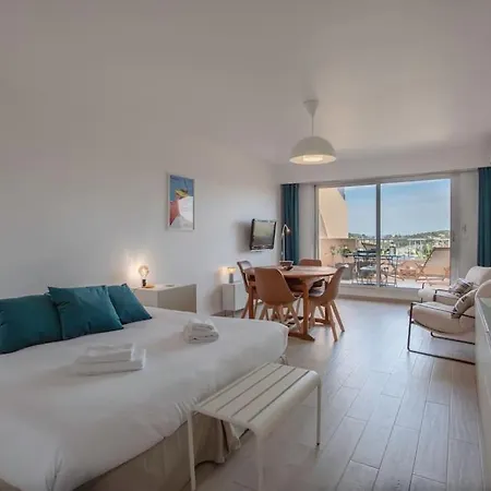 L20 Stunning Sea View, Terrace, Parking, Ac, Wifi * 尼斯